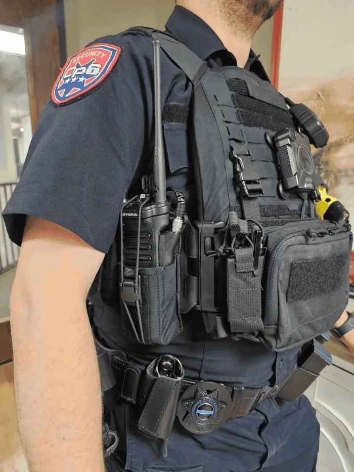 Armed security officers
